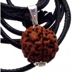 Rudraksha Sacred Seed Pendant